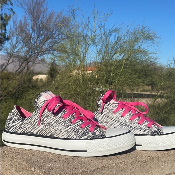 🦓 Glittery Silver Metallic Zebra Striped Converse - Picture 3 of 16